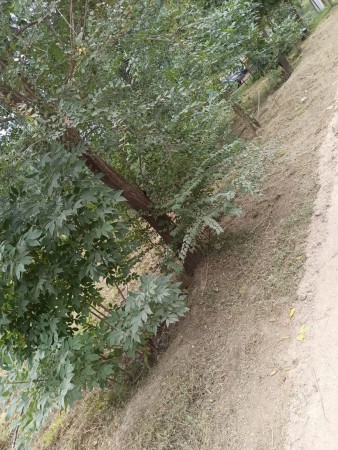 SANTA CRUZ DEL LAGO- Terreno de 580 mts con escritura