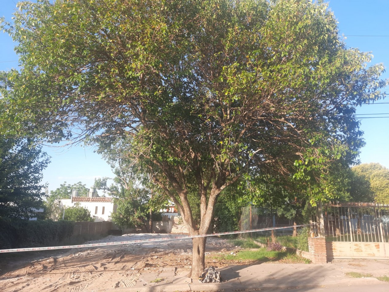 Terreno de 576 mts2 a media cuadra de Av. Carcano