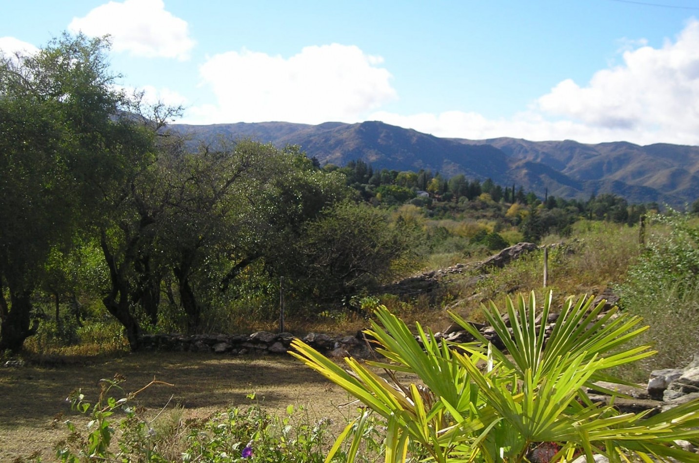 CAMPO DE 63 HECTAREAS EN VALLE HERMOSO CON FRENTE AL RIO
