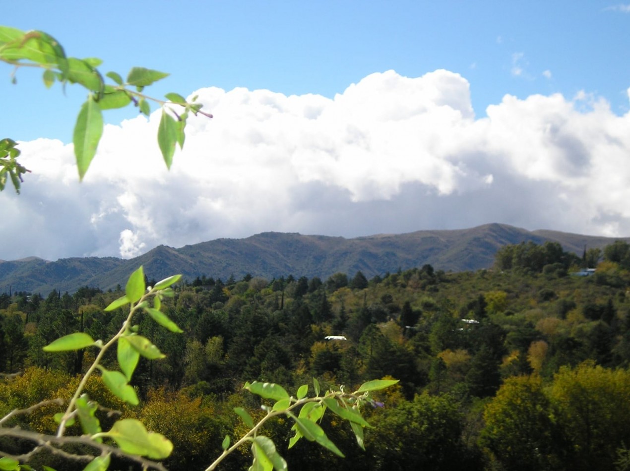 CAMPO DE 63 HECTAREAS EN VALLE HERMOSO CON FRENTE AL RIO