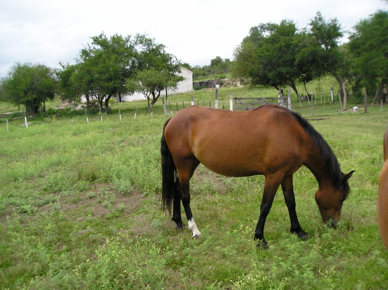CAMPO DE 63 HECTAREAS EN VALLE HERMOSO CON FRENTE AL RIO