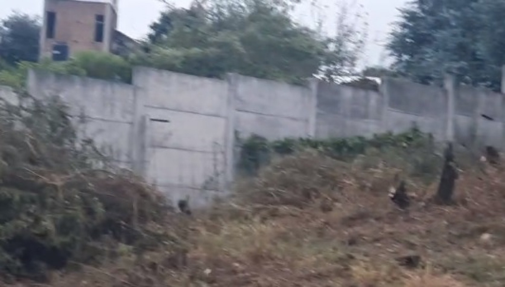 SE VENDEN JUNTOS O SEPARADOS: Dos terrenos ubicados en Santa Cruz del Lago