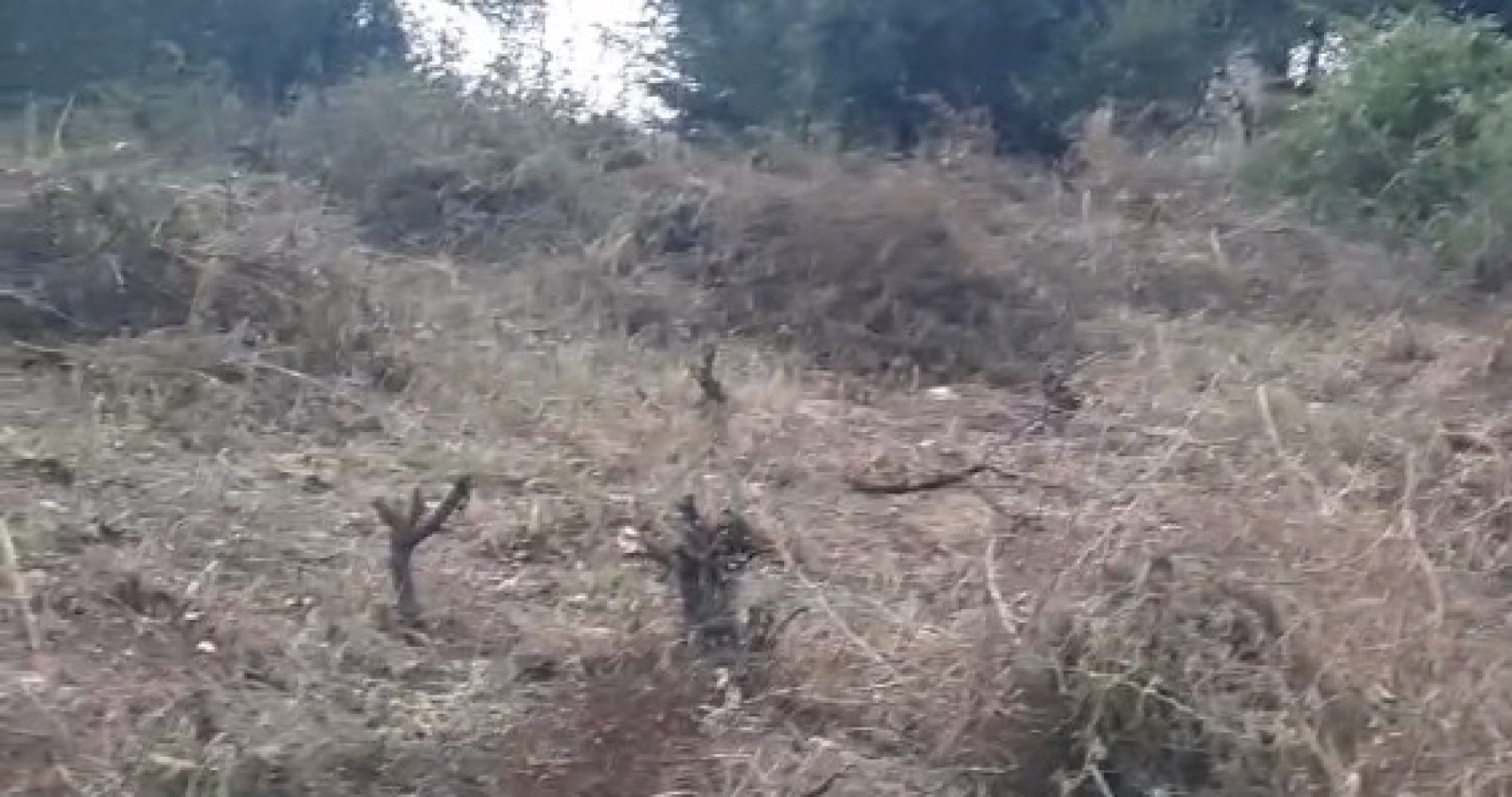 SE VENDEN JUNTOS O SEPARADOS: Dos terrenos ubicados en Santa Cruz del Lago