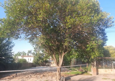 Terreno de 576 mts2 a media cuadra de Av. Carcano