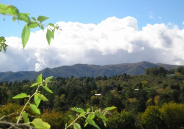CAMPO DE 63 HECTAREAS EN VALLE HERMOSO CON FRENTE AL RIO
